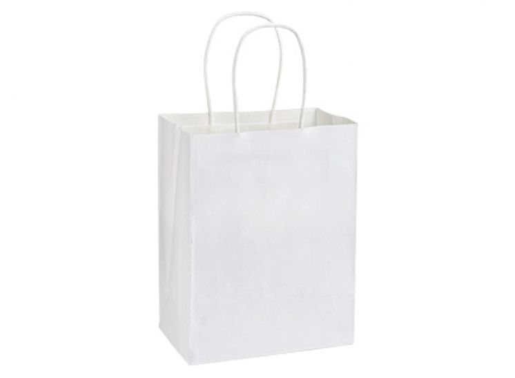 E100 - Bolsa de Papel 120g/m2